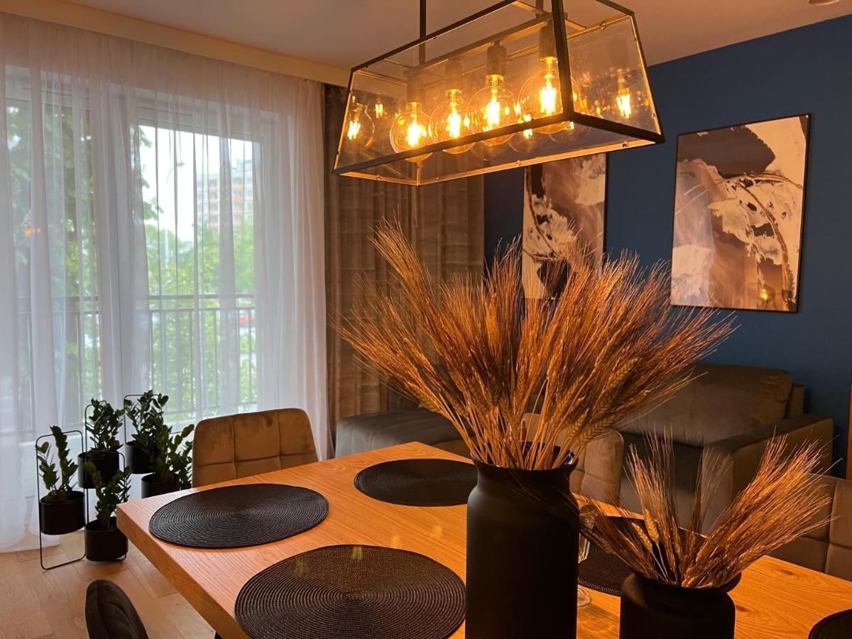 Family & Business Elegant Apartments, Kadzielnia, Wdk, Stadion Korona -1 Bedroom, Terrace, Garage, New! Kielce Exterior foto